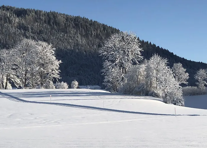 Apart Otel Chiemgaufuchs - Chiemgaukarte Inzell